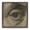 Stupell Industries Franklin's Gaze Eye Floating Frame, design by Svetlana Aleynikova